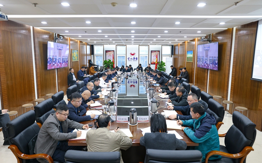 集團黨委傳達學習全國兩會精神 研究部署貫徹落實工作